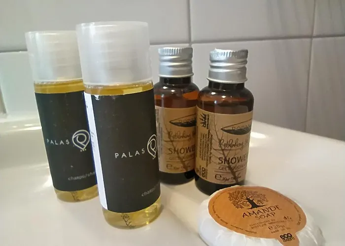 帕拉斯酒店 3* 拉科鲁尼亚